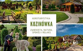 Kozinówka